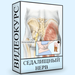 [Людмила Малышева] Седалищный нерв (2020)_0.png